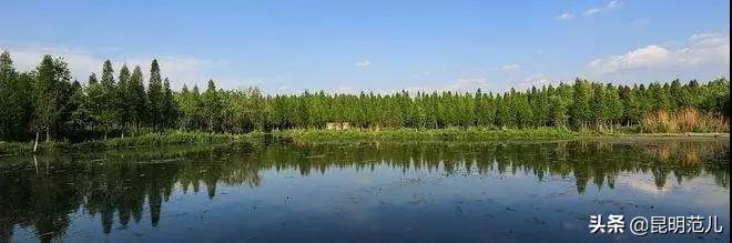 昆明旅游經(jīng)典路線(5條玩轉(zhuǎn)昆明的最佳線路)(16)