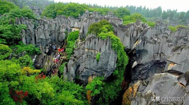 昆明旅游經(jīng)典路線(5條玩轉(zhuǎn)昆明的最佳線路)(3)
