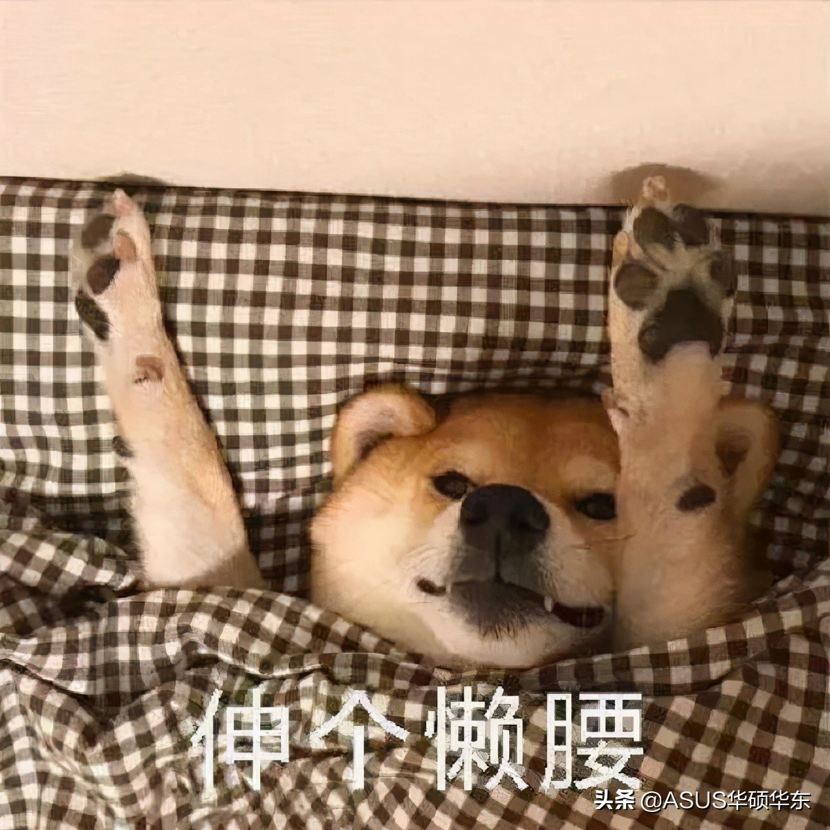 都被微軟騙了，Win10 的關機鍵竟然是假的