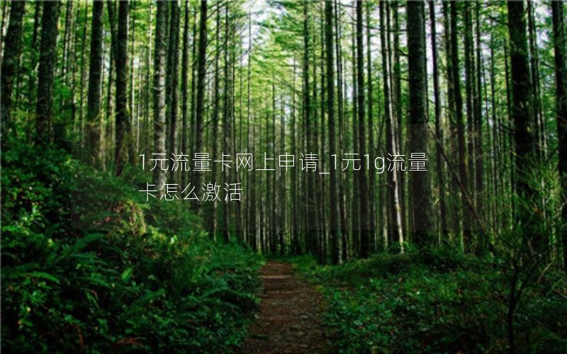 1元流量卡網(wǎng)上申請_1元1g流量卡怎么激活