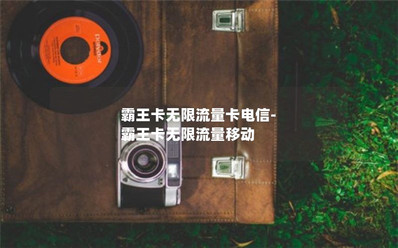 霸王卡無限流量卡電信-霸王卡無限流量移動(dòng)