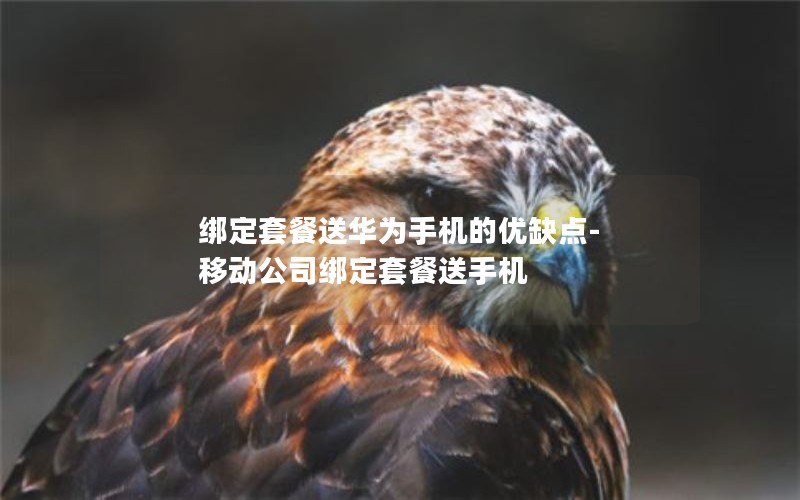 綁定套餐送華為手機(jī)的優(yōu)缺點(diǎn)-移動(dòng)公司綁定套餐送手機(jī)