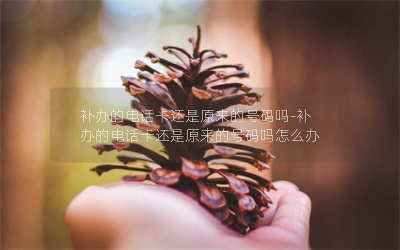 補(bǔ)辦的電話卡還是原來(lái)的號(hào)碼嗎-補(bǔ)辦的電話卡還是原來(lái)的號(hào)碼嗎怎么辦