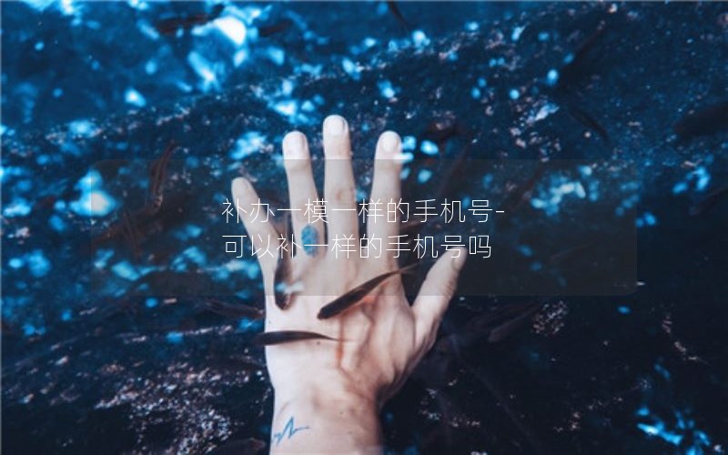 補(bǔ)辦一模一樣的手機(jī)號-可以補(bǔ)一樣的手機(jī)號嗎