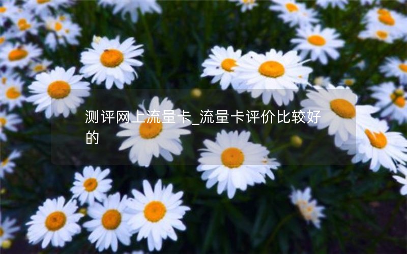 測評(píng)網(wǎng)上流量卡_流量卡評(píng)價(jià)比較好的