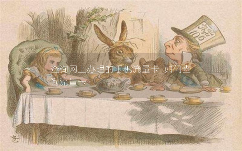 查詢網(wǎng)上辦理的手機(jī)流量卡_如何查詢流量卡