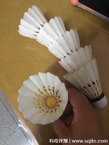 南極風(fēng)羽毛球怎么樣多少錢，9號(hào)球真實(shí)效果天眼(16.9元)