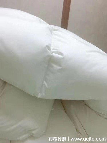 杉杉家紡羽絨被質(zhì)量怎么樣，真實使用體驗(大朵羽絨輕盈保暖)