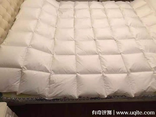 杉杉家紡羽絨被質(zhì)量怎么樣，真實使用體驗(大朵羽絨輕盈保暖)