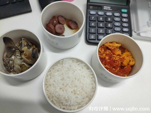 生活元素電熱飯盒怎么樣，真實(shí)使用體驗(yàn)(蒸/煮/熱多花樣)