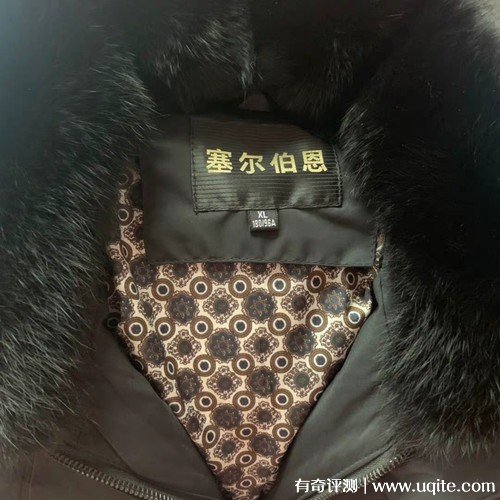 塞爾伯恩羽絨服怎么樣什么檔次，真實(shí)購(gòu)買(mǎi)體驗(yàn)(大眾消費(fèi)品牌)