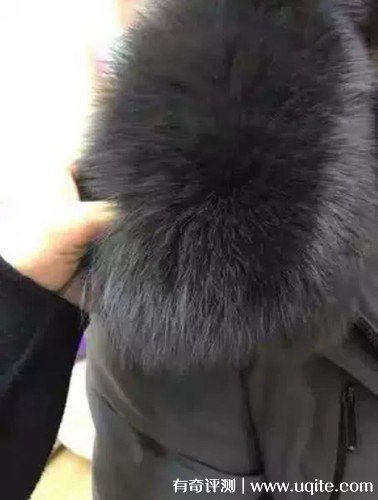 塞爾伯恩羽絨服怎么樣什么檔次，真實(shí)購(gòu)買(mǎi)體驗(yàn)(大眾消費(fèi)品牌)
